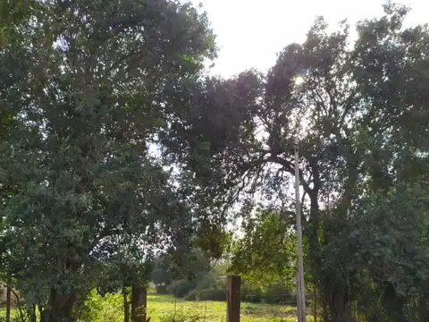 Terreno en Venta 20  mts Frente