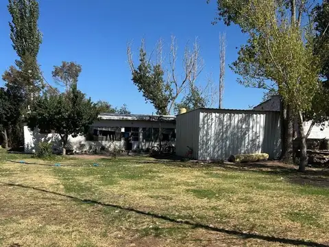 FINCA EN VENTA. 25 HAS EN PRODUCCIÓN DE AJO