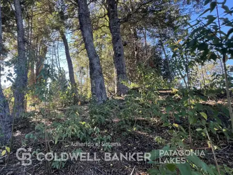 Terreno en Venta de 517,0 m2