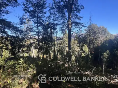 VENTA Lote/Terreno 517m2 barrio cerrado SELVANA Villa La Angostura