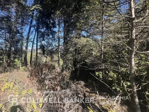 Terreno en Venta de 517,0 m2