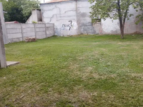Avellaneda 800