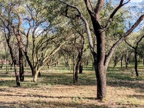 Terrenos en venta en Las Tapias, San Javier, Traslasierra
