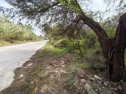 Camino de la Costa