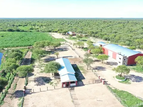 Campo Feedlot En Venta Villa De Soto
