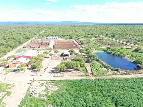 Campo 123 ha Feedlot Villa de Soto