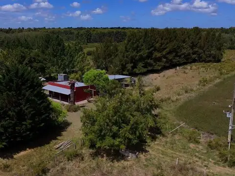 Venta CAMPO 29ha 2 CASAS en Est. Pedrera Ruta 88