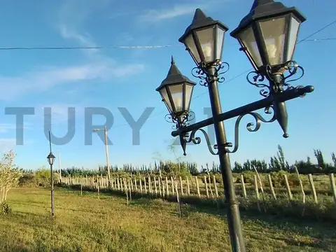 Century 21 vende Salón para eventos, Granja y Cabaña en Lavalle, Mendoza
