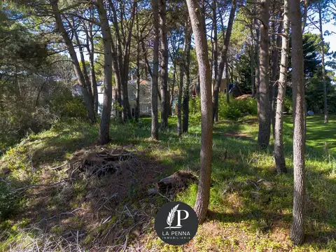 Terreno en Venta 53  mts Fondo
