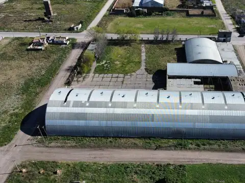 Galpon en Alquiler en Quequen, USD 5.000