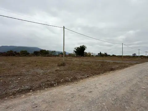 TERRENO VENTA CAMPO QUIJANO 1 HA PLANA