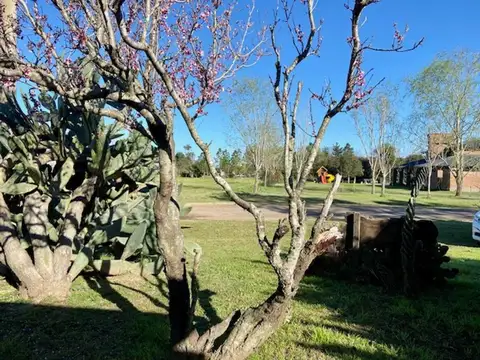 Casa en Venta 20 años