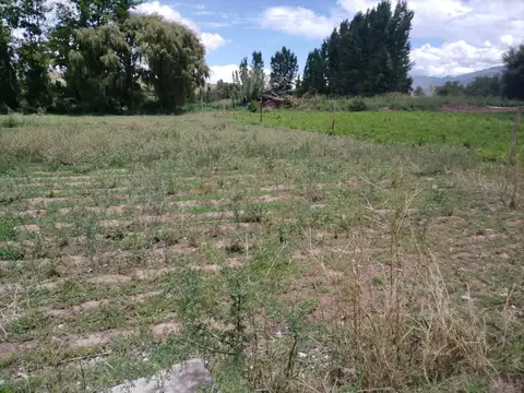 VENDO TERRENO- VILLA MERCEDES - PAYOGASTA - CACHI, SALTA