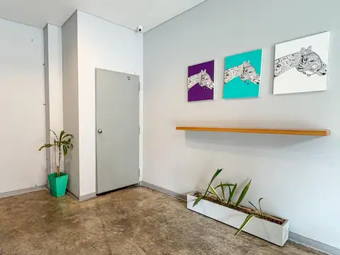Departamento en Alquiler de 2 ambientes