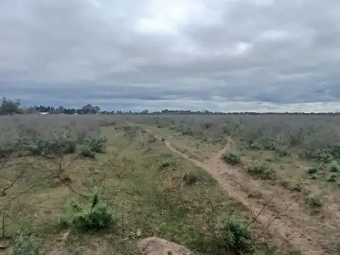 Campo de 6,5HA en Venta en Lavalle Correintes