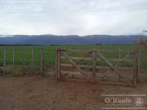 Venta,Excelente Campo Agricola- Ganadero   en venta de 781has, Cortaderas, San Luis -Financiamiento