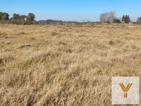Campo en venta - 83.000Mts2 - Florencio Varela