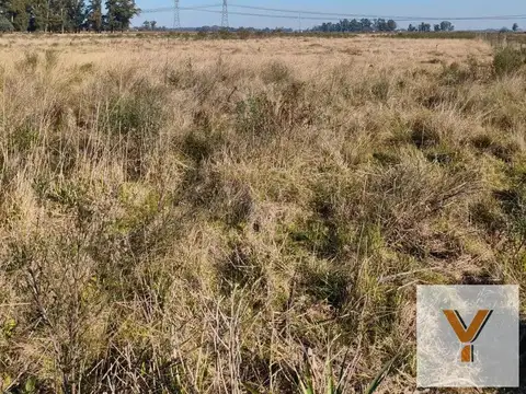 Campo en venta - 83.000Mts2 - Florencio Varela