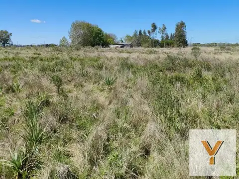Campo en venta - 83.000Mts2 - Florencio Varela