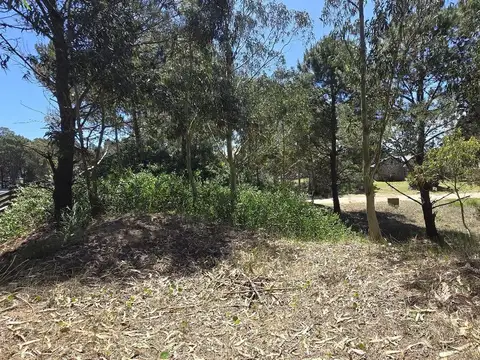 Terreno en Venta de 1000,0 m2