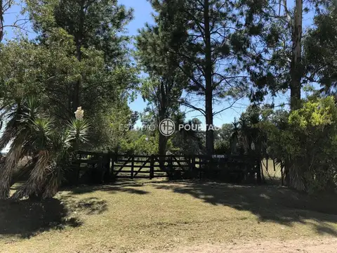 Campo - Venta - Argentina, Brandsen