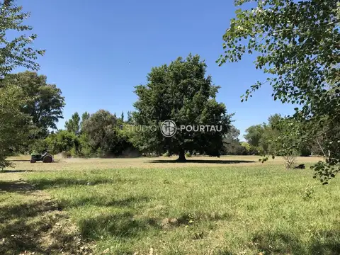 Ruta 215 100