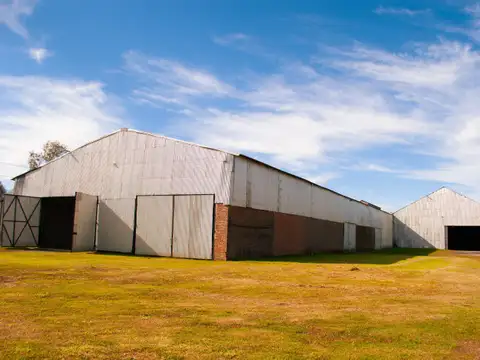 Ruta 21 km 3,5 - Nave 8200 m² - Alvear
