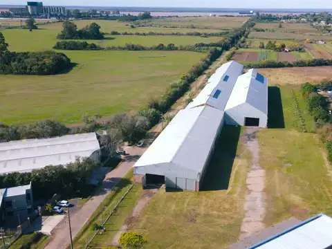 Ruta 21 km 3,5 - Nave 8200 m² - Alvear