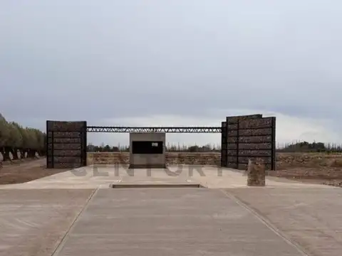 VENTA LOTES BARRIO ANCELLOTA - CARRIL NORTE ENTRE CALLE ROBERT Y CALLE MOLINA 100, Piso 0