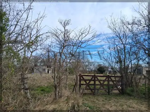 Las Magnolias