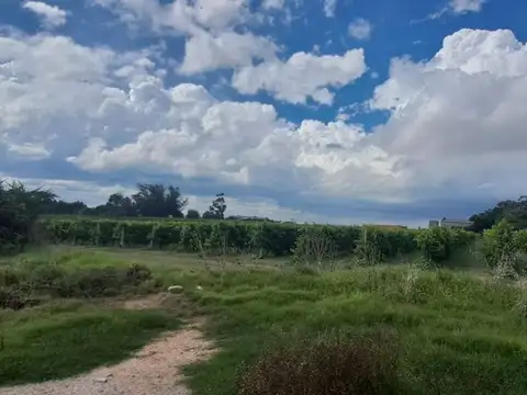 Terreno en Venta en Paso De La Arena, USD 2.100.000