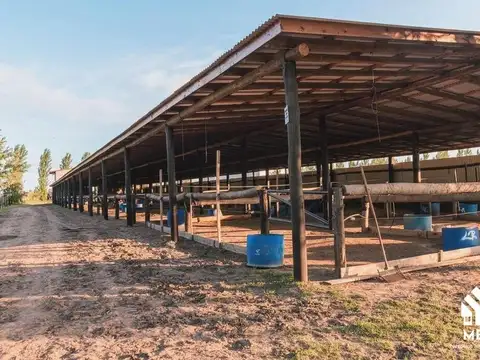 Terreno en Venta de 1000,0 m2