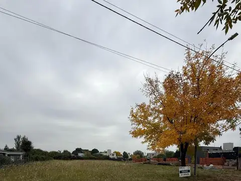 Agustín Piaggio al 1500