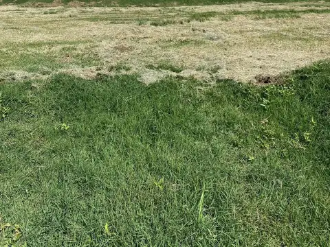 Guillermo Enrique Hudson, Provincia de Buenos Aires