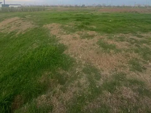 Terreno en Venta en Berazategui, USD 69.000