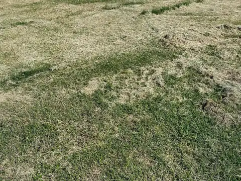 Terreno en Venta en Berazategui, USD 69.000