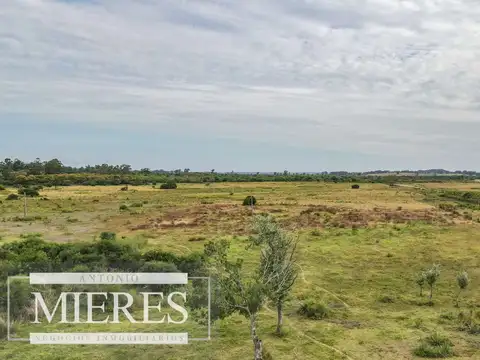 Chacra de 14ha San Carlos