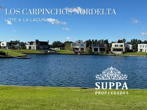 Carpinchos Nordelta