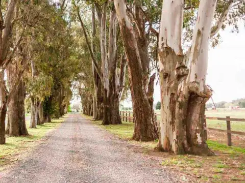 Adg. Lote en El Campo -  Fincas Exclusivas Cardales
