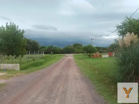 Ruta 42 y René Favaloro