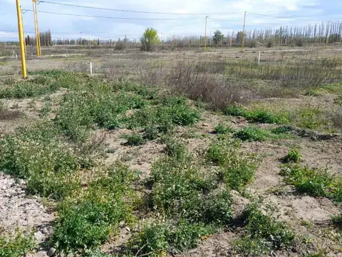 TERRENO EN VENTA - LOTEO LA RUFINA II - CERVANTES