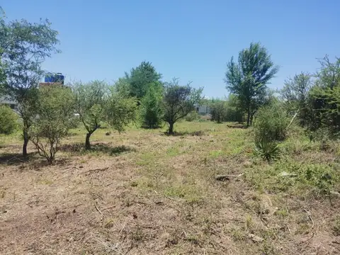 "Hermoso lote con vista Mirador del Lago"