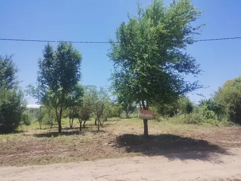 Agua De Oro Casi Anizacate