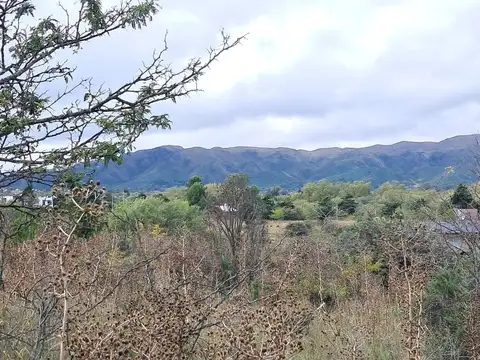Madreselva