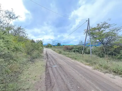 Madreselva
