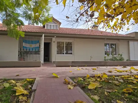 Negri 100