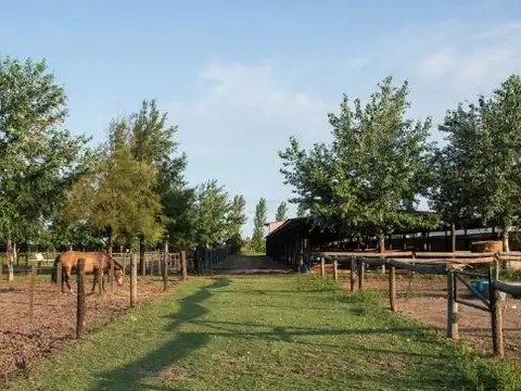 Terreno en Venta de 1000,0 m2