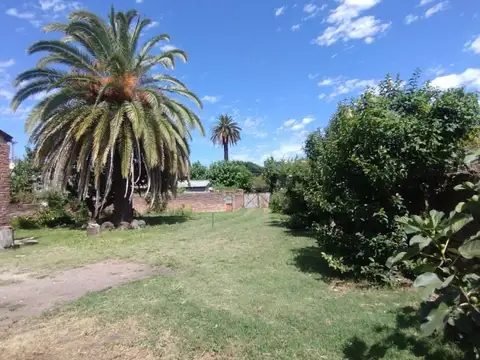 Terreno - Venta - Argentina, Veinticinco de Mayo