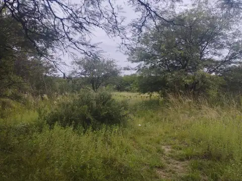 Terreno en Venta en Villa San Isidro, USD 74.000