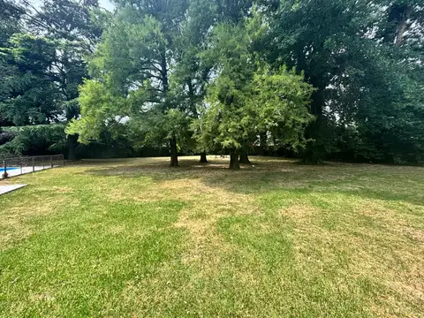Virgen De Lujan 3600